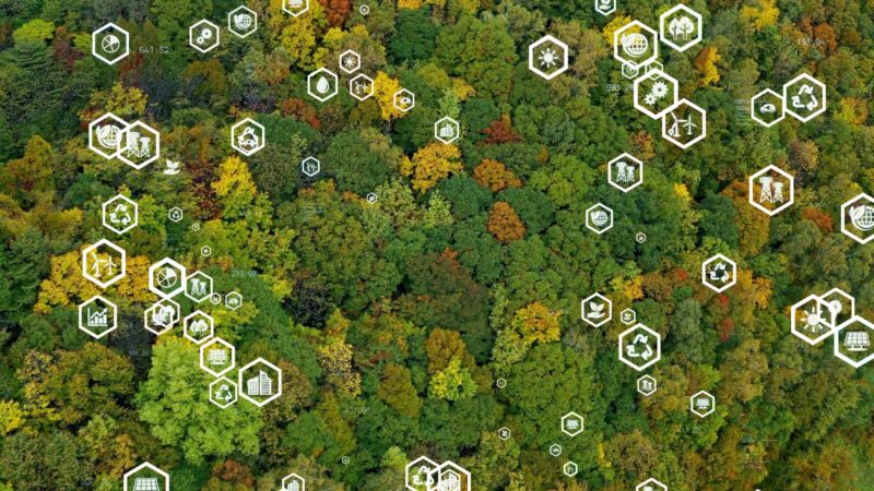 Forest from above with different white icons symbolizing cleantech